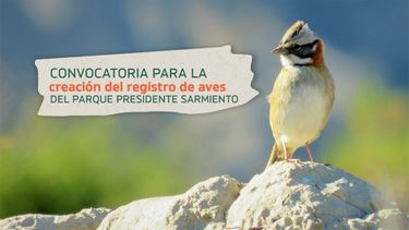 Ambiente abre la convocatoria para la creación de un Registro de Aves del Parque Presidente Sarmiento