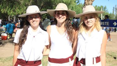 Encanto equino bajo el cielo albardonero