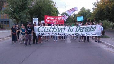 Hablan los cannabicultores sanjuaninos: contentos con la noticia, pero no del todo