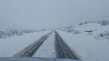 Imágenes y video: en plena primavera, nieva en El Colorado