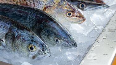 En la previa de Semana Santa, el Ministerio de Salud saldrá a controlar la venta de pescado.