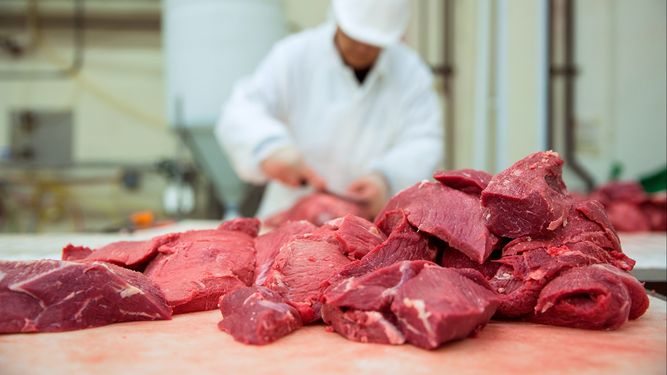 Baja la carne en San Juan: la poca demanda le puso un freno a los aumentos.&nbsp;