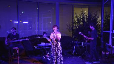 El arte de la música brillará en el museo Franklin Rawson