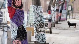 Los árboles de La Superiora, con pulóveres tejidos por los vecinos