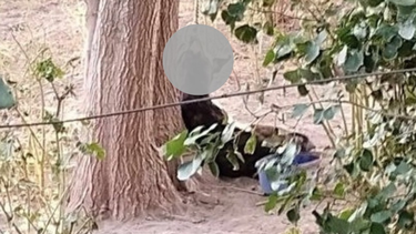 Un nuevo caso de maltrato animal estremeció a los sanjuaninos. La foto viral de la perrita llevó a que pudieran rescatarla.