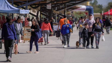 Con el aceite de oliva como protagonista, este sábado sumate a una nueva Feria Agroproductiva