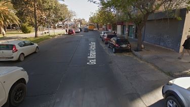 Denuncian un golpazo de dos ciegos por el hueco de un árbol en plena ciudad