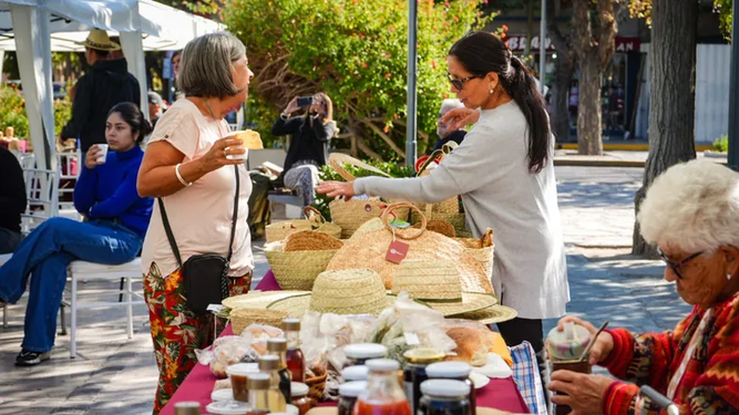 Qué se podrá hacer en la Casa de Sarmiento durante el mes de julio y sus vacaciones de invierno.