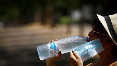 Extremo calor y alimentación: las recomendaciones de una profesional sanjuanina