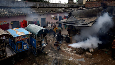 El virus del Chandipura está preocupando a las autoridades sanitarias de la India y todo el mundo.