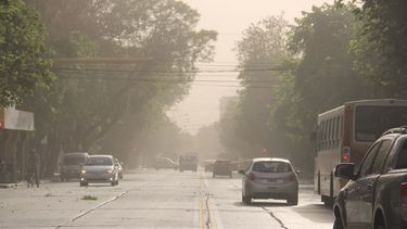 Atención conductor, piden transitar con extrema precaución en rutas