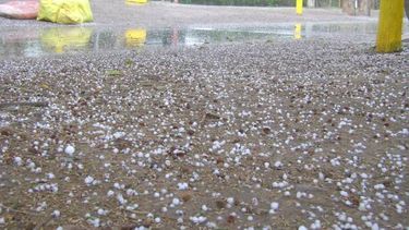 Granizó en Pocito: Asistieron a una familia y hubo pérdidas en plantaciones