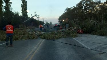 Después de 20 horas de trabajo, habilitaron el tránsito en la Ruta 40 Después de 20 horas de trabajo, habilitaron el tránsito en la Ruta 40