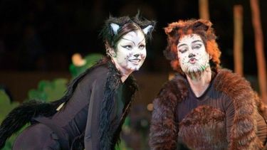 El gato con botas viene a San Juan y te llevamos a verlo