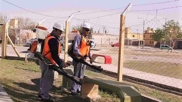 Continúa el operativo antibichos en Capital