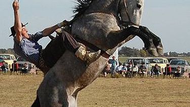 Sortean un caballo ensillado para ayudar a un paisano