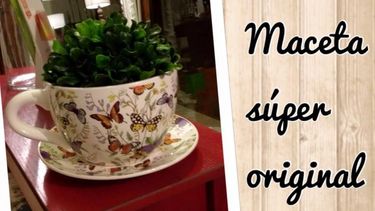 Sugerencia de hoy: Paradise Deco