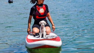 En Punta Negra se divierten todos, hasta los perros