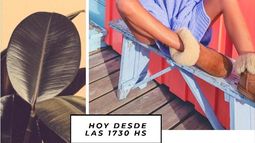 Sugerencia de hoy: A Calzón Quitado