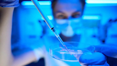 Congelamiento de óvulos: una guía para entender el procedimiento donde la mujer elige cuando ser madre