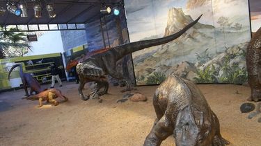 En el medio de Ischigualasto, dinos sorprenderán a los turistas