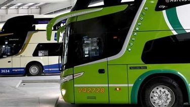 Pese a la desregulación del transporte, en San Juan afirmaron que las personas con discapacidad tendrán pasajes gratis