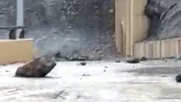 Video: el temporal de lluvia desató un alud en la Central Hidroeléctrica de Ullum