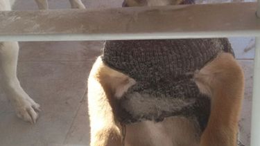 Un boliche sanjuanino lanzó una movida para ayudar a los callejeros