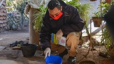 A pesar de que la proliferación del mosquito que transmite el dengue se produce en verano, es importante tomar las medidas de prevención todo el año.