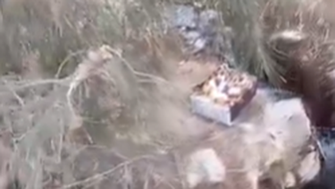 El mal no descansa: el escalofriante descubrimiento de un ciclista en El Pinar