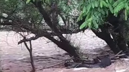 Impactante crecida en Gualcamayo: el temporal arrasó con cultivos y ganado