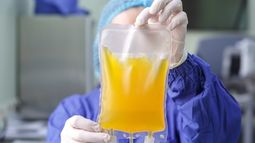 Tratan con plasma a los sanjuaninos con coronavirus que están graves: uno está con respirador