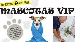 Mascotas con servicios VIP