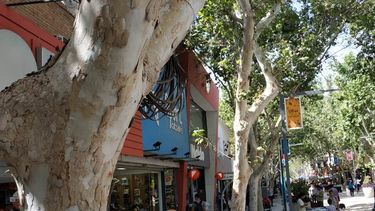 Ultimátum para los negocios de la Peatonal: o sacan los cables de la vereda o se los corta el municipio