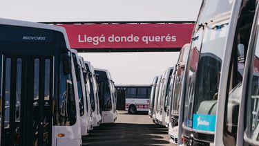 Presentaron 150 nuevos colectivos de la Red Tulum, dos son eléctricos