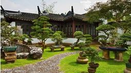 Si sos amante de la naturaleza, ¿cómo armar un jardín Feng Shui?