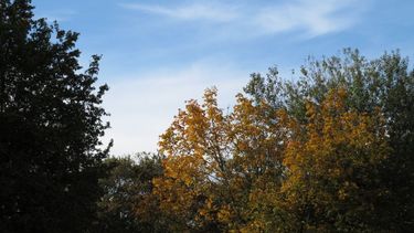 Máxima de 25º y probables tormentas toda la jornada