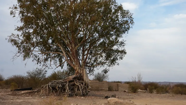 La falta de agua dejó al descubierto los restos de la bodega. Fotos: Leandro Porcel.