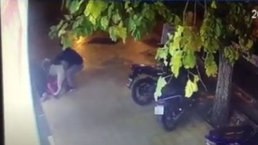 Multa millonaria por la mordida de un perro: el motivo que hizo estallar a los demandados