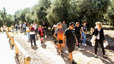 San Juan a pleno para el Carnaval: reservas del 70% en alojamiento