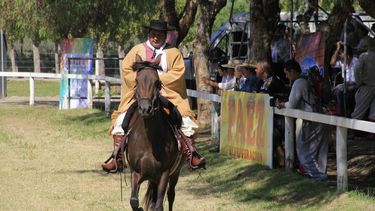 El espectáculo de los Caballos Peruanos copó la tarde en Albardón