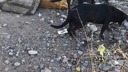 La historia de dolor de la mujer que fue estafada y terminó durmiendo en la basura