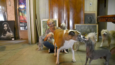 Conocé a Emilia, la proteccionista sanjuanina que cuida más de 100 perros y es personalidad destacada de Rawson