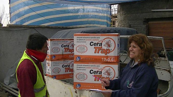 Rivadavia combate la mosca de los frutos