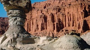 Licitaron estudio para el camino interno de Ischigualasto