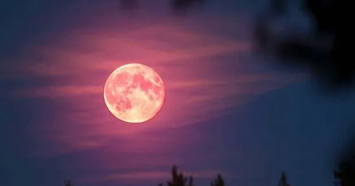 Luna rosa cuándo y dónde ver este fenómeno de la naturaleza