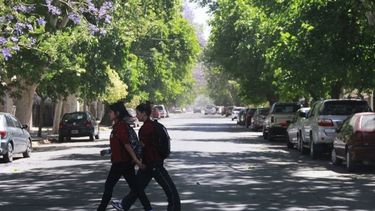 Máxima de 35º y vientos todo el día