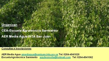 Capacitarán sobre el cultivo del Melón