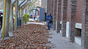 Agarrate que llega el Zonda: mirá a qué hora guardar la ropa