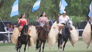 Mirá algunos de los caballos que participan del concurso